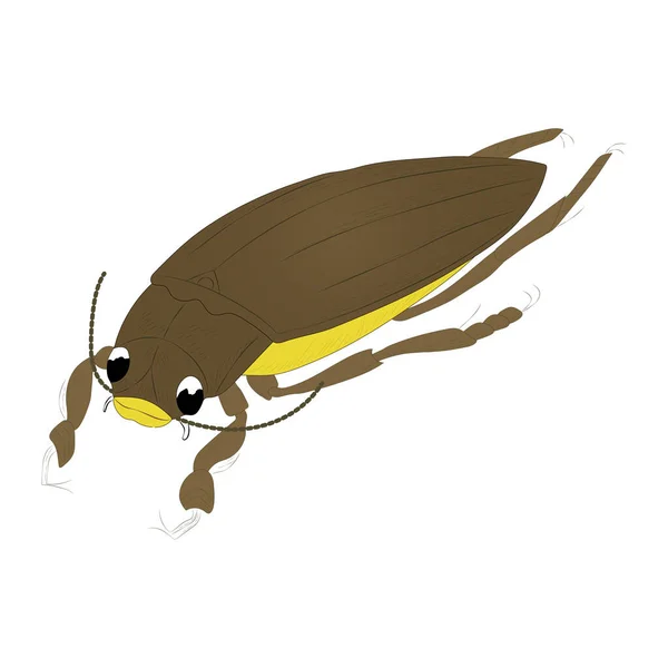 Beetle Color Illustration Isoliert Auf Weißem Hintergrund Vektor — Stockvektor