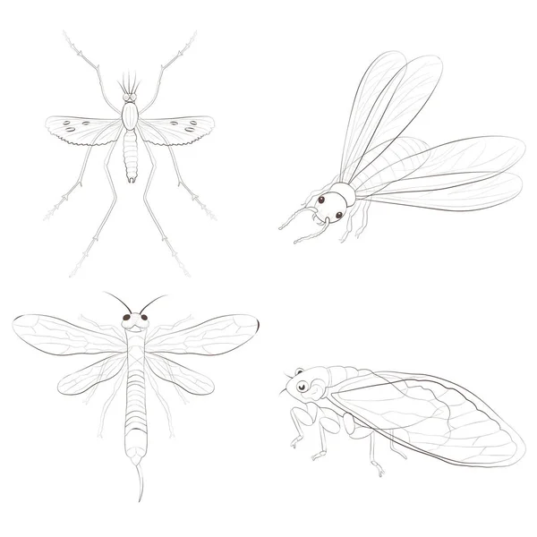 Set Med Insekter Isolerad Vit Bakgrund Termit Siricidae Mygga Och Stockvektor