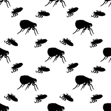 Seamless pattern with insects. Element for design. Vector. clipart