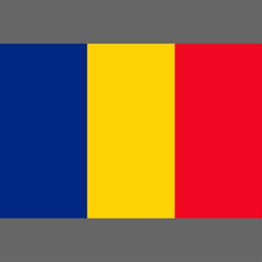Romanya bayrağı. Dijital üreme. Vektör.
