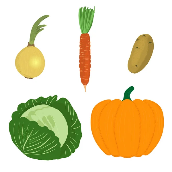 Set Vegetables Isolated White Background Cabbage Pumpkin Potato Carrot Onion — Stock Vector