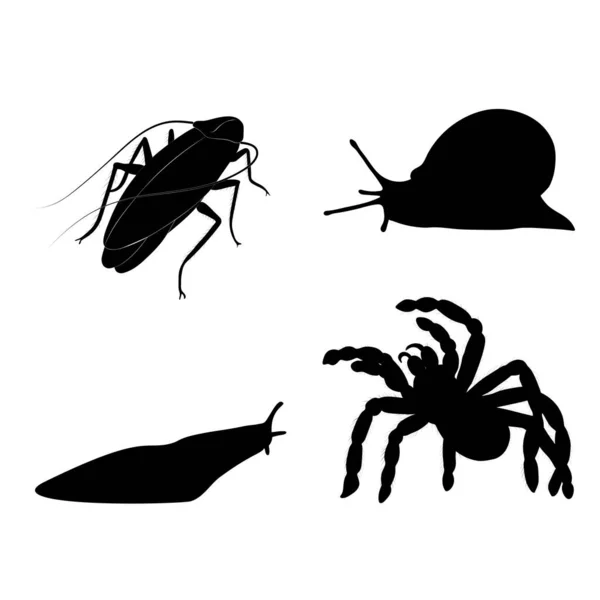 Set Insects Isolated White Background Cockroach Tarantula Slug Grape Snail — Stock Vector