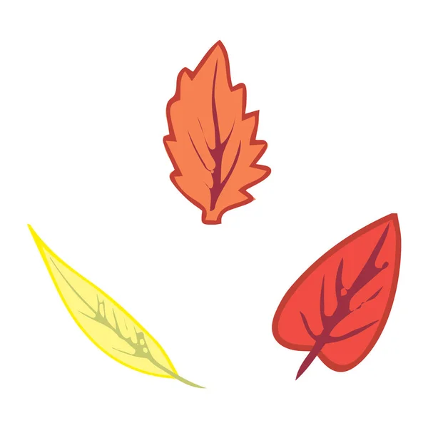 Colorful Cartoon Autumn Leaves Illustration Element Autumn Design Vector — Stock Vector