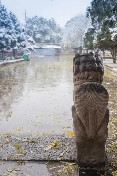 Stinné loubí na Západního jezera v hangzhou, Čína — Stock fotografie