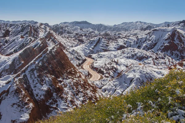 Pino solitario en el borde del cañón de Bryce —  Fotos de Stock