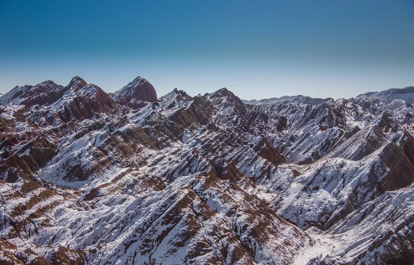 Einsamer Kiefernbaum am Rande der Schlucht von Bryce — Stockfoto