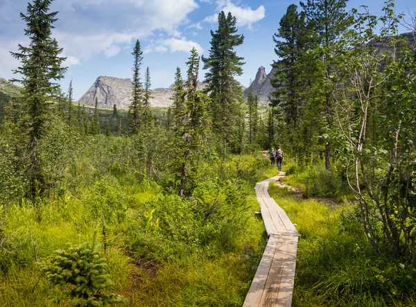 Dağlardaki bir iyi yolu insanların gitmek