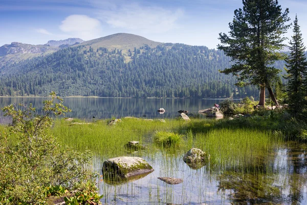 Озеро найкрасивішим на землі Ergaki Національний парк — стокове фото