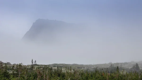 Bergnebel im Ergaki Nationalpark, Russland — Stockfoto