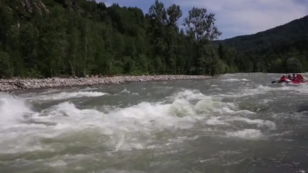 Groupe de six personnes rafting en eau vive — Video