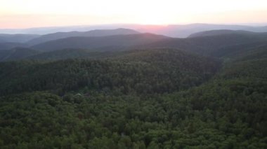 Orman parkta Krasnoyarsk sütunlar üzerinde güzel gün batımı