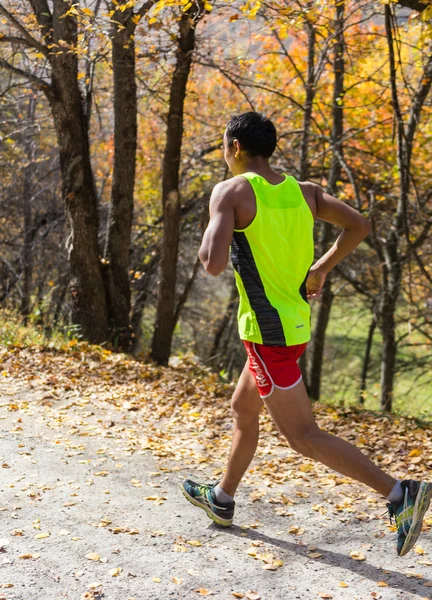 ALMATY,ALMATY DISTRICT, KAZAKHSTAN-OCTOBER 10, 2015: Man runs for fun and take part in a sporting event, on the competition trail running Alatau Train Run 2016, in the national reserve Yunats Lakes