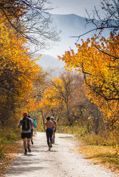 ALMATY, ALMATY DISTRICT, KAZAKHSTAN-OTTOBRE 10, 2015: Un folto gruppo di persone che partecipa a un evento sportivo, sulla pista da competizione che corre Alatau Train Run 2016, nella riserva nazionale Yunats — Foto Stock