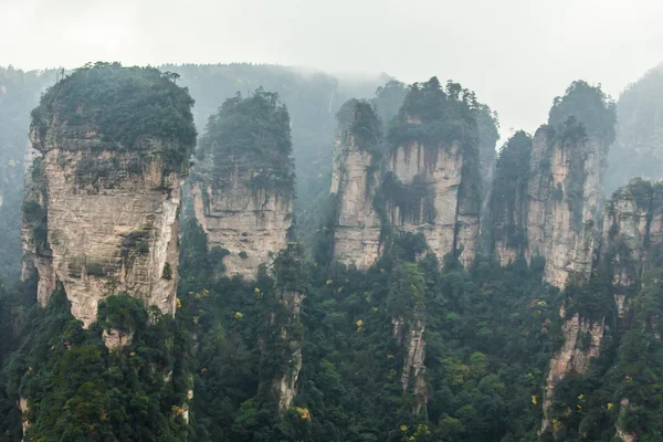 Úchvatná krajina v Zhangjiajie, Čína — Stock fotografie