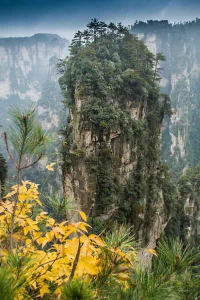 Breathtaking landscape in Zhangjiajie, China — Stock Photo, Image