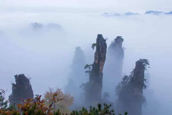 Montañas Amarillas Huangshan, una cordillera en el sur de la provincia de Anhui, al este de China . —  Fotos de Stock