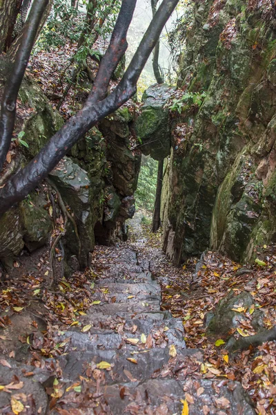 Weite Aussicht mit schöner klassischer Herrenhaus-Treppe — Stockfoto