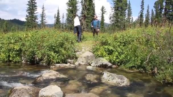 Senderistas comiendo tomando un descanso disfrutando de la comida hablando juntos en caminata al aire libre en el bosque de montaña durante la caminata . — Vídeo de stock