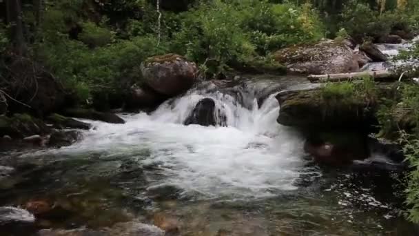 Landskap med berg träd och en flod framme — Stockvideo