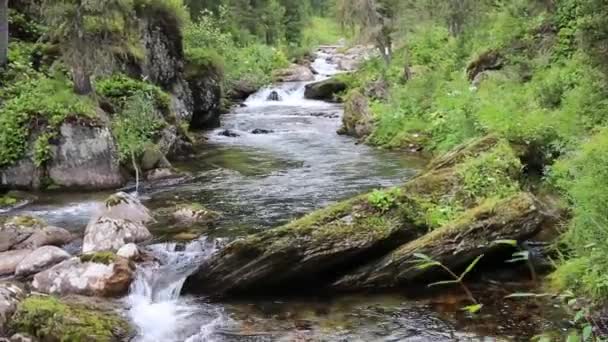 Landskap med berg träd och en flod framme — Stockvideo