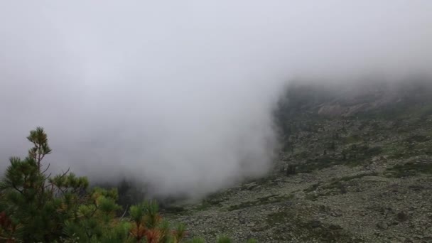 Increíble escena de lapso de tiempo de niebla moviéndose en la montaña más famosa de China — Vídeo de stock