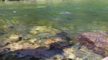 şelale efekti akan su döngü