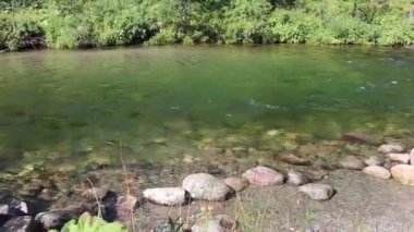 şelale efekti akan su döngü