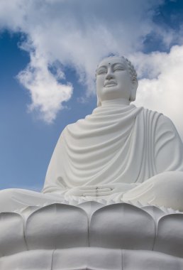 Tian Tan Buddha - en yüksek worldss