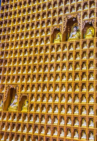 Linie zlata obraz Buddhy — Stock fotografie