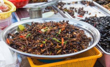 İğrenç yemekler ile hamamböcekleri istila yığını