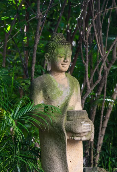 Statua buddha in wat umong, chiang mai — Foto Stock