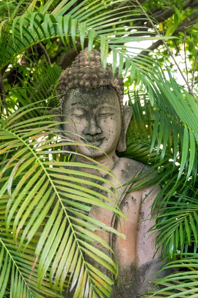 Statue de bouddha en wat umong, chiang mai — Photo