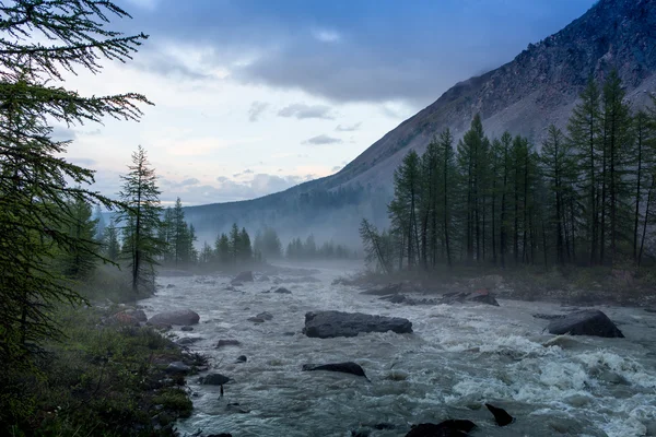 Туман на Yellowstone річки — стокове фото