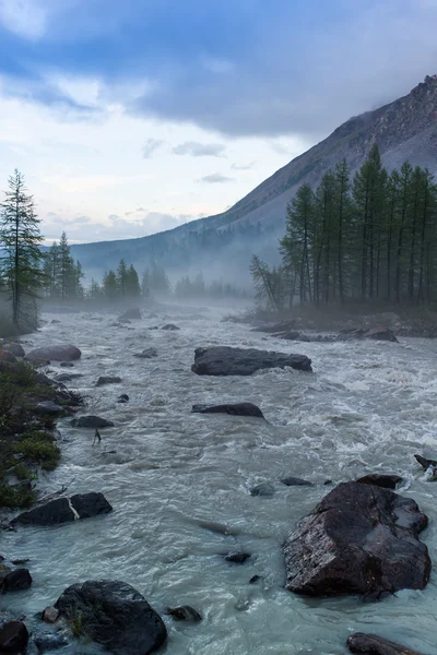 Туман на Yellowstone річки — стокове фото