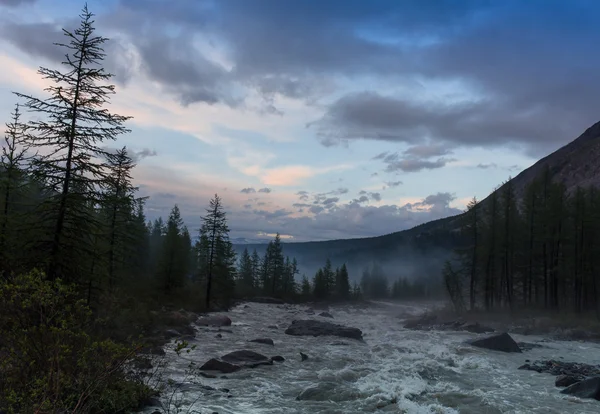 Niebla en el río Yellowstone Imágenes de stock libres de derechos