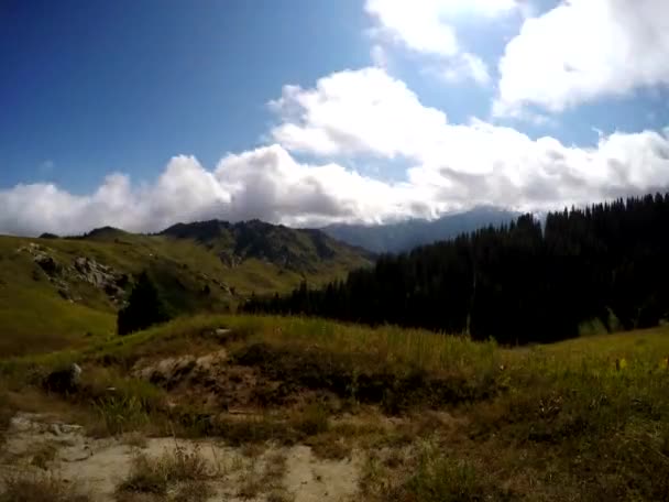 Timelapse du lever du soleil nuageux pelucheux à la plantation de thé — Video