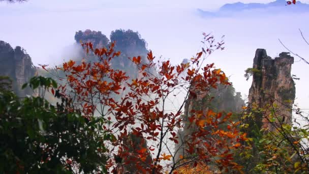 Panorama vom höchsten Punkt des Huashan-Gebirges in China. — Stockvideo