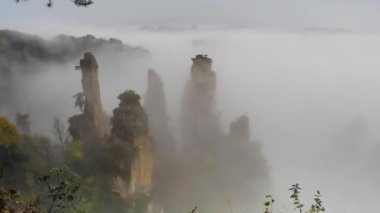 Zhangjiajie Milli Parkı, Çin. Avatar dağlar