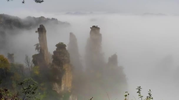 Parque Nacional Zhangjiajie, China. Montañas Avatar — Vídeo de stock