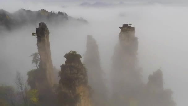 Parque Nacional Zhangjiajie, China. Montanhas Avatar — Vídeo de Stock