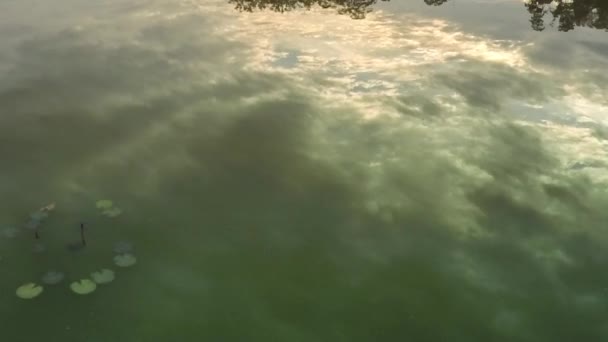 Briljante kleuren van de zonsondergang over Buffalo Lake — Stockvideo