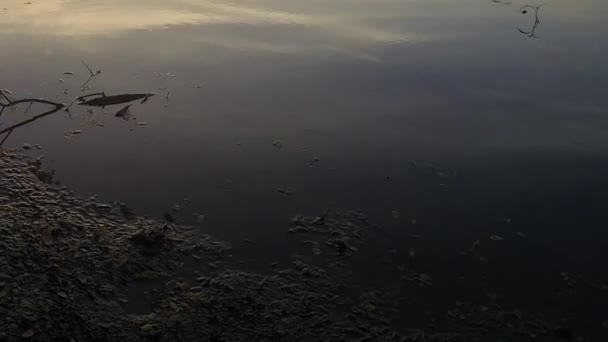 Zonsondergang over een belangrijke zijrivier van de Amazone - de Rio Napo in Ecuador - Timelapse — Stockvideo