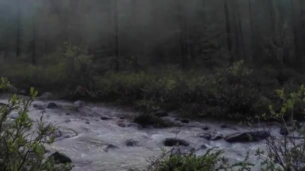 Pequeña tienda de campaña es plantada por un arroyo de montaña en el bosque en otoño con follaje de otoño . — Vídeos de Stock