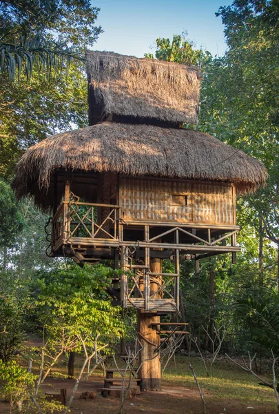 Hermosa casa creativa del árbol hecha a mano para los niños —  Fotos de Stock