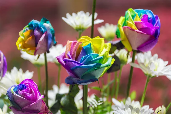 Regenboog rozen in een boeket buitenshuis — Stockfoto