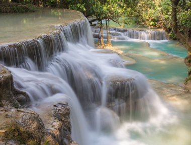 derin yağmur ormanları jungle şelale