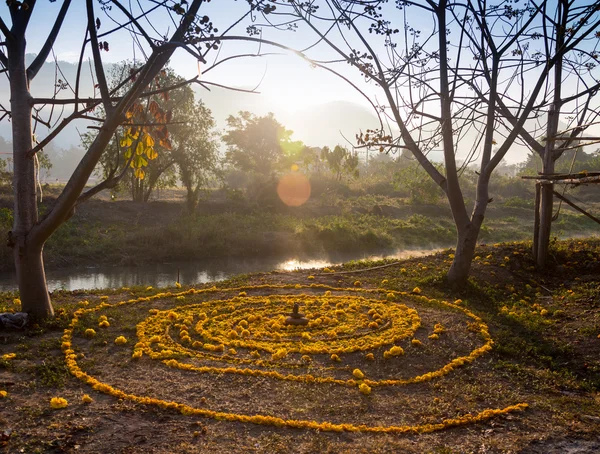 画在地上的螺旋 — 图库照片