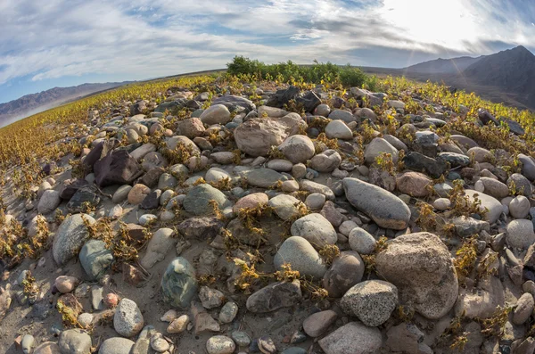 地平線に石のプラトー — ストック写真