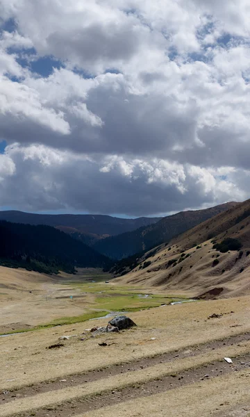 Красивые пейзажи альпийских лугов — стоковое фото