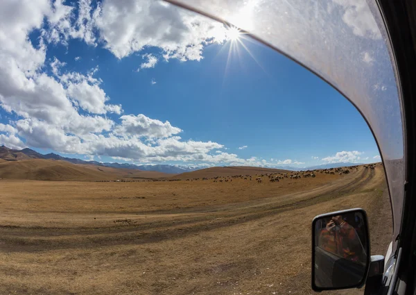 Schöne Landschaft Almwiesen — Stockfoto